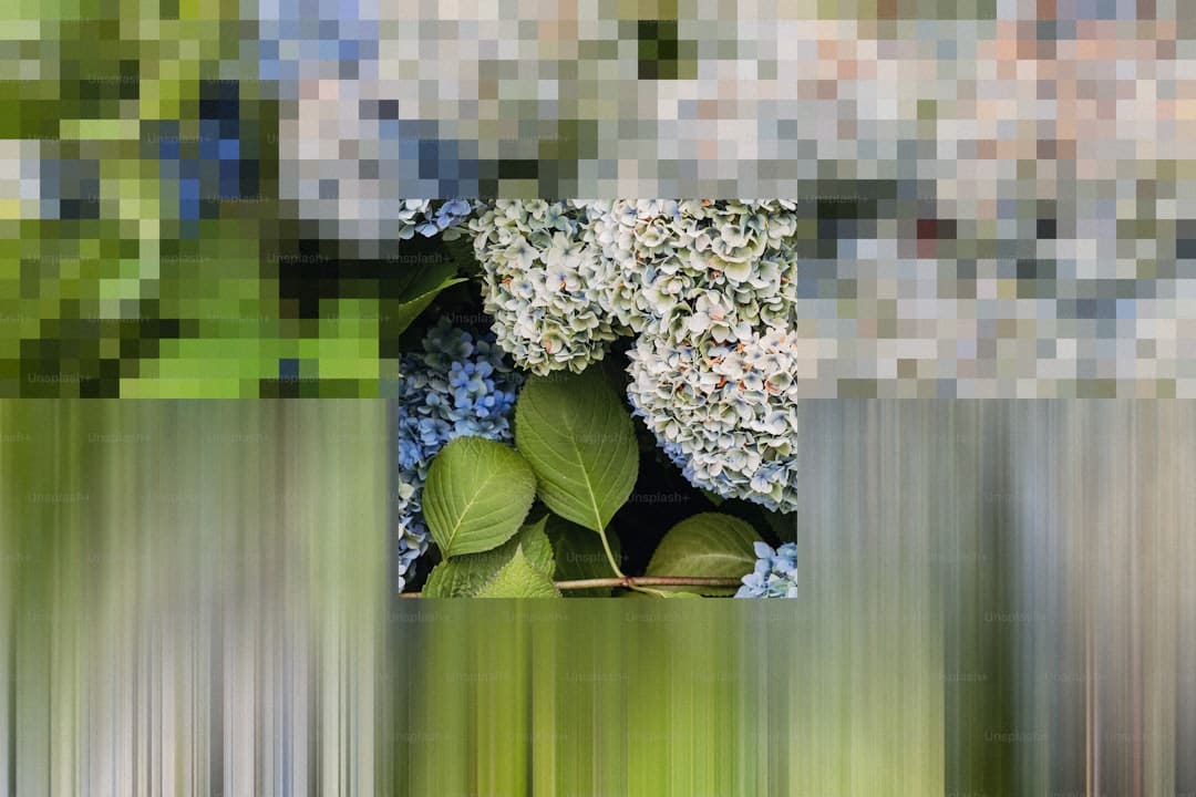 百万网友力挺！张柏芝在外网为祖国点赞！港台艺人独一份就该她火 内外网齐发爱国心